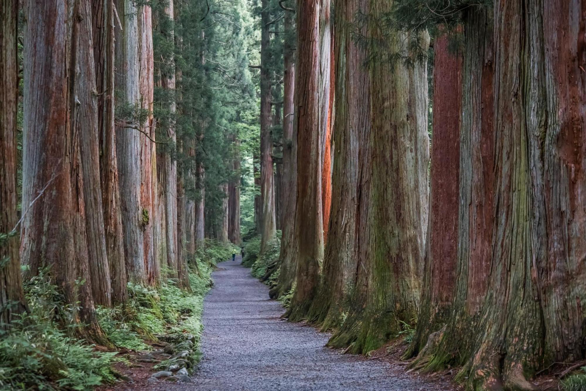 Yumotoya Otel Matsumoto Dış mekan fotoğraf